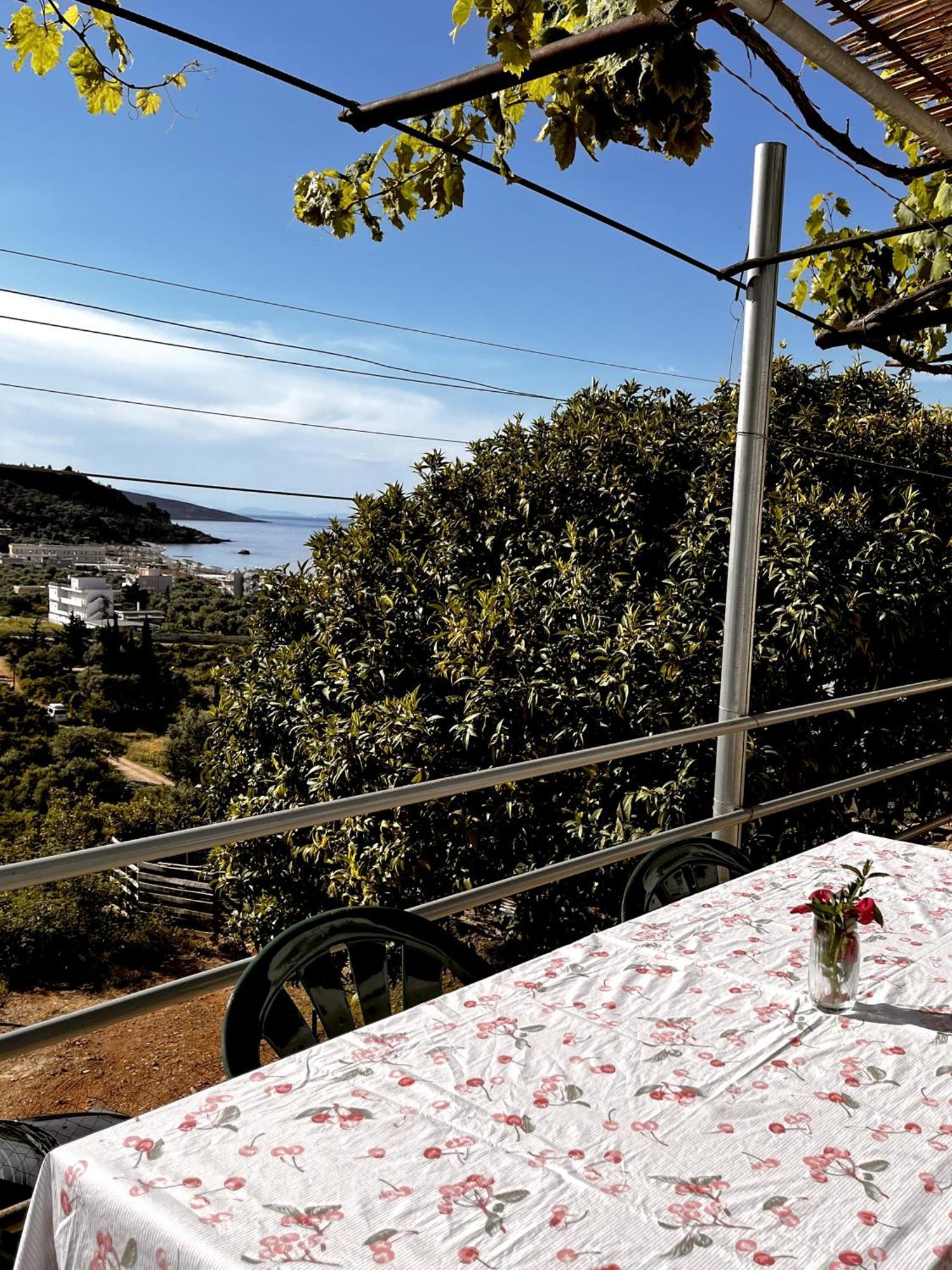 Sea Horizon House Alexis Hotel Himare Bagian luar foto